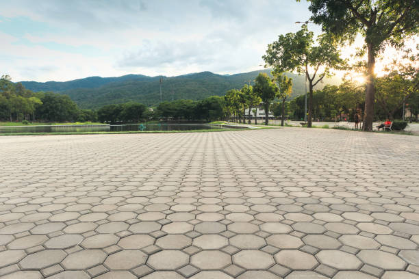 Best Custom Driveway Pavers  in North Puyallup, WA